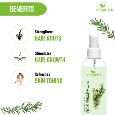 https://cdn.shopify.com/s/files/1/1857/6931/files/02CMw5FhoE.jpg?v=1727762728